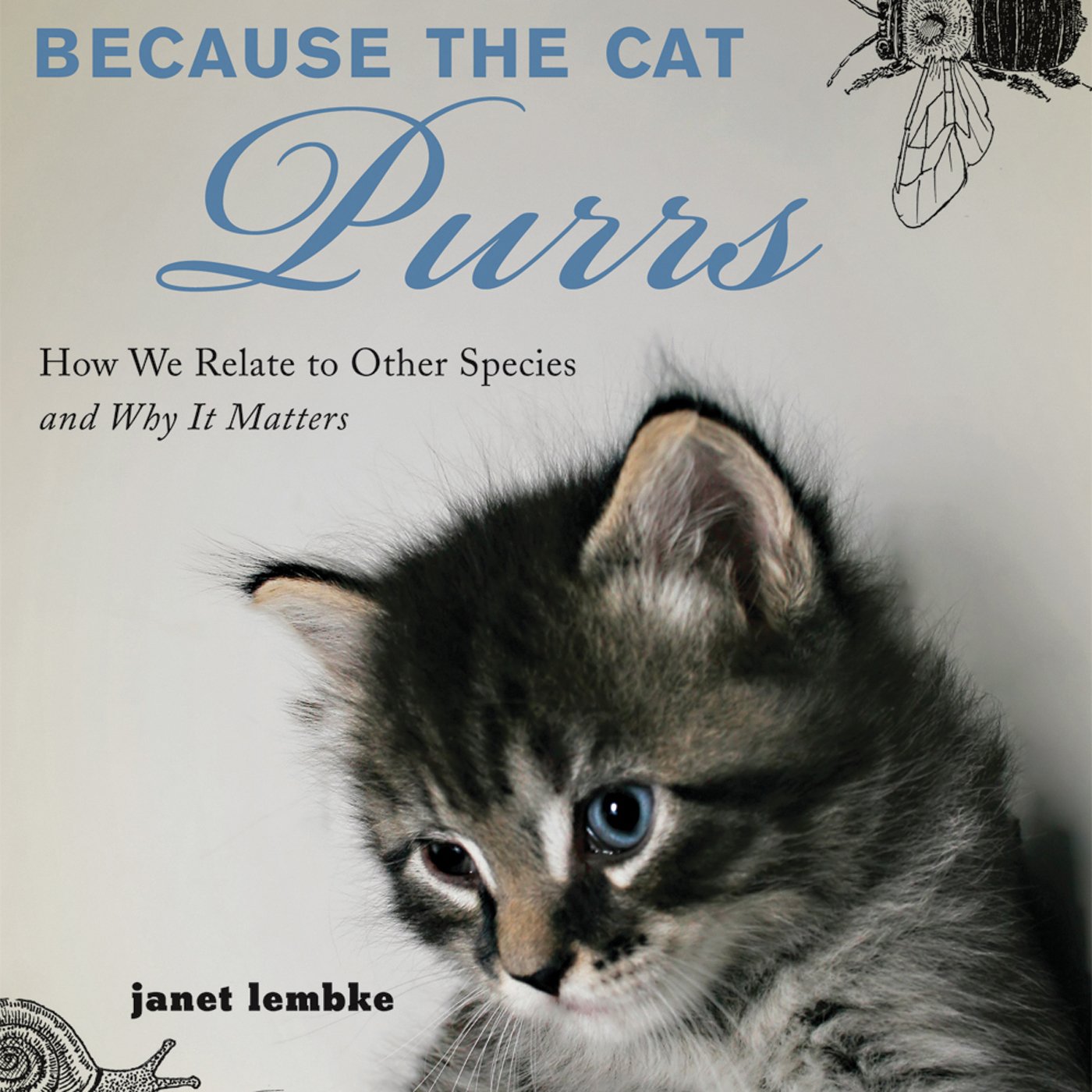 Because the Cat Purrs