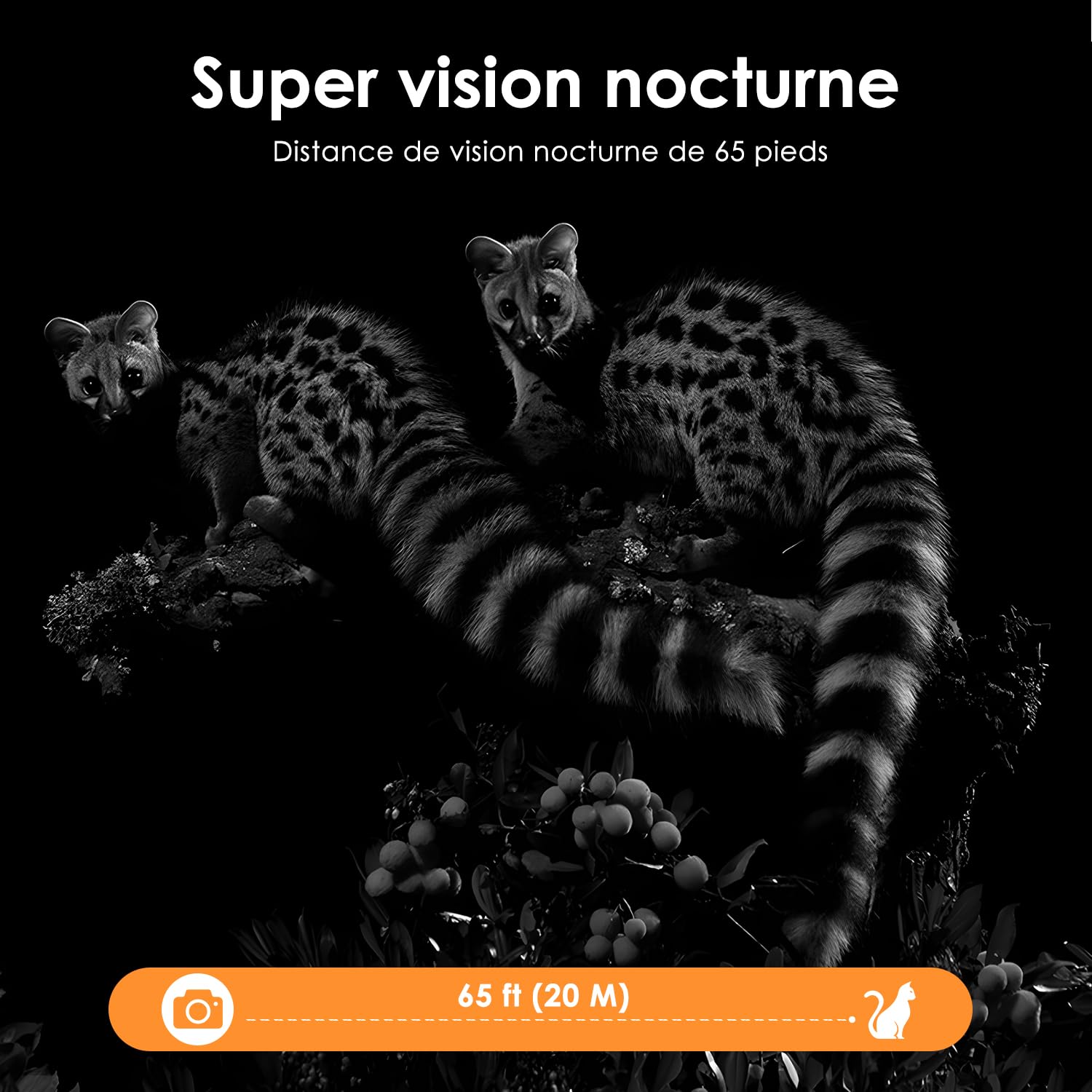 MAXDONE Caméra de Chasse Solaire Wi-FI - 48MP Camera de Chasse Connectée Telephone avec 5200mAh Batterie Rechargeable Camera Infrarouge Vision Nocturne Exterieur Animaux, Etanche IP66