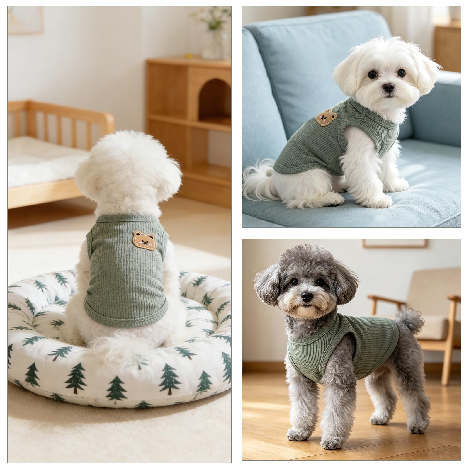 Vêtements pour Chiens, Chemise Respirante D'été, Body Chien Post Operatoire Male Doux Body Chien Post Operatoire Femelle sans Manches pour Chiens et Chats de Petite,Vert (M)