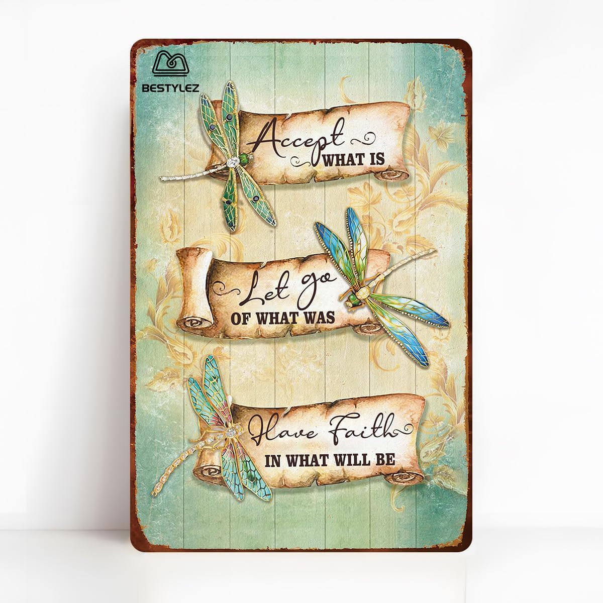 Vintage Metal Tin Sign Dragonfly Decor - Accept What Is,let Go Of What Was,have Faith In What Will Be - Inspirational, Room Decoration 12x8 Inch9607 Custom Private Property Signs Outdoor