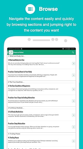 Peace of Mind – vue 3