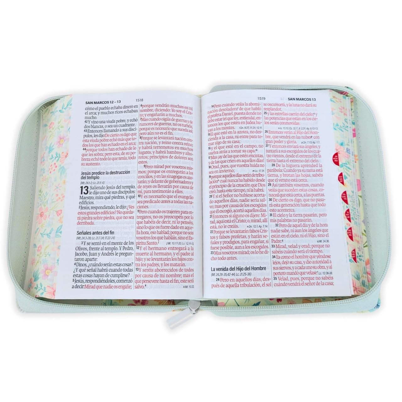 Biblia para Mujer Portatil Reina Valera 1960 Letra Grande 12 puntos con Cierre duotono blanco y rosa floral con indice y canto floral      Imitation Leather – January 24, 2026