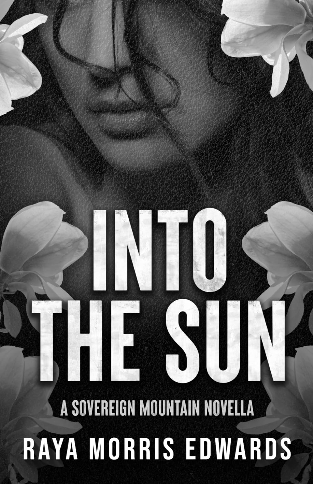 Into the Sun: A Sovereign Mountain Novella (Sovereign Mountain Bonus Content)