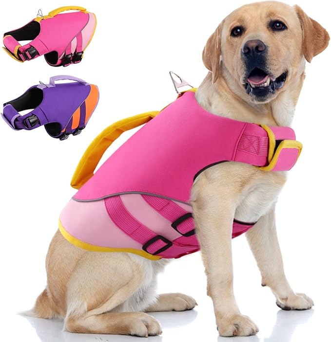 Amazon.com : Queenmore Dog Life Jacket,Dog Life Vest for Swimming ...