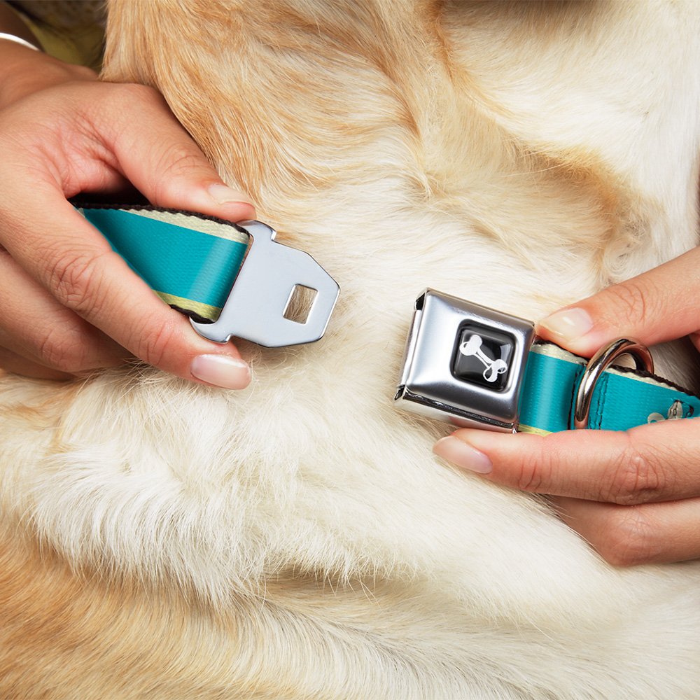 Buckle-Down DC-W30634-WS - Cinturón de Seguridad para Perro, Talla S, Color Azul, Verde Lima