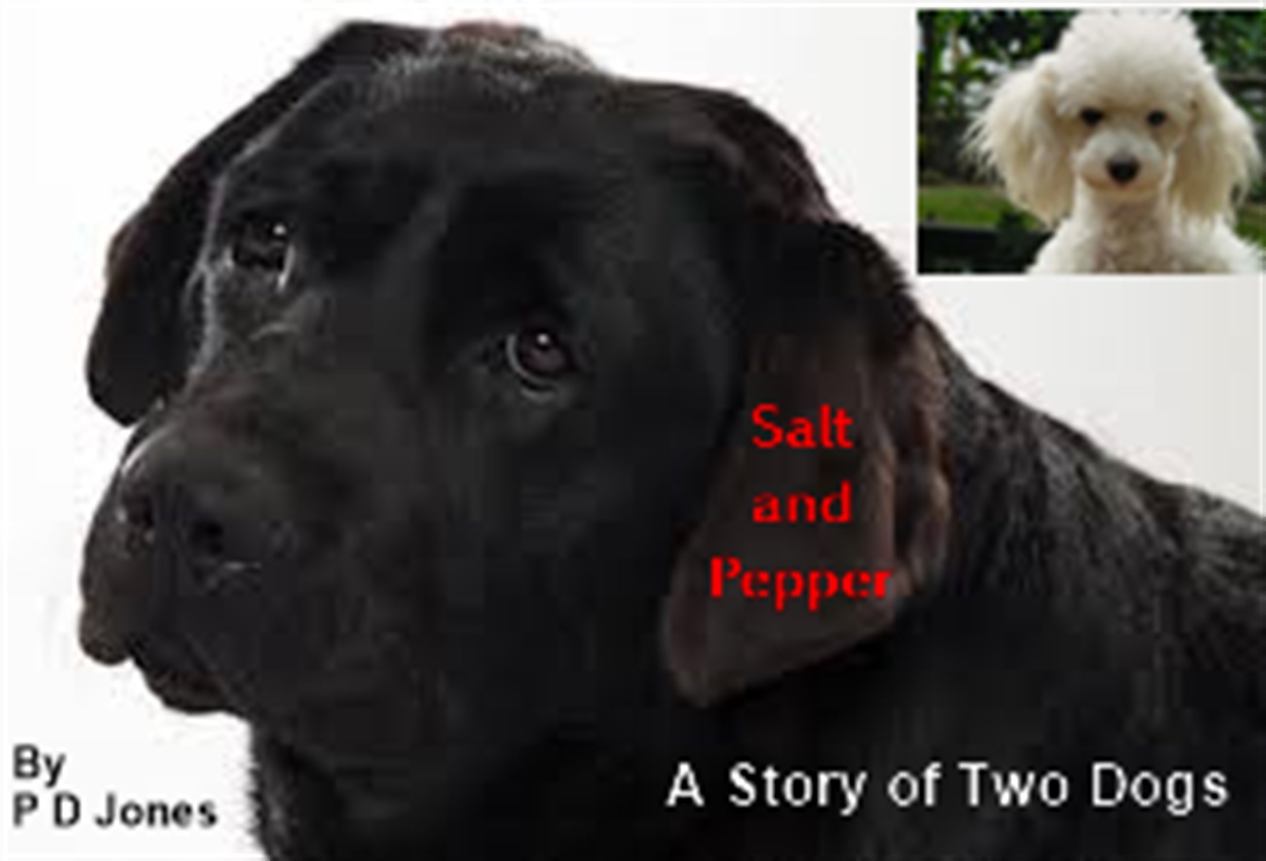 Salt & Pepper: The King & Queen of Spice: 5 (Culinary Library)