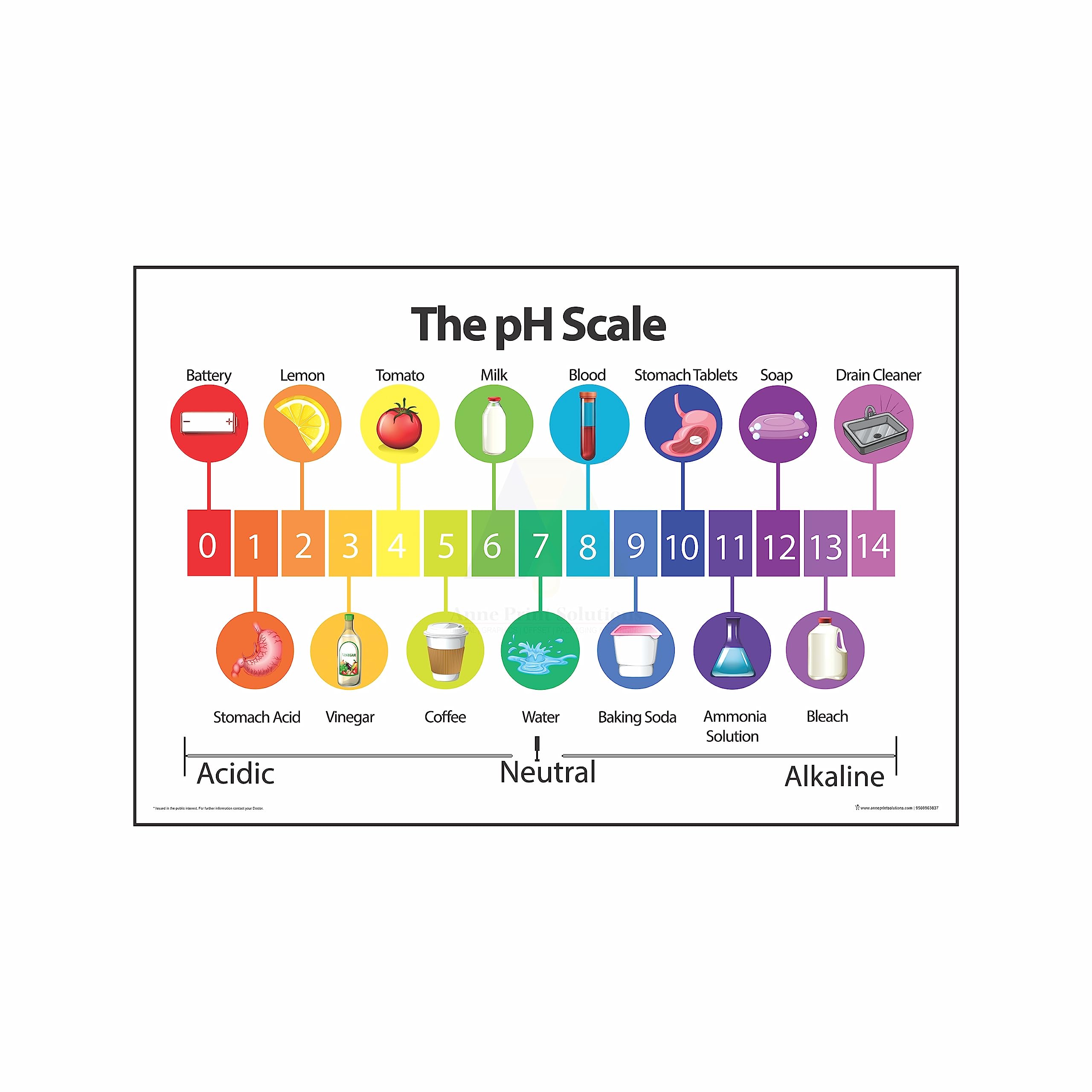 Anne Print Solutions® The Ph Scale Chart Poster For Hospital Posters | Nursing Home Posters | Clinic Posters Pack Of 1 Pcs Size 13 Inch X 19 Inch* Multicolor