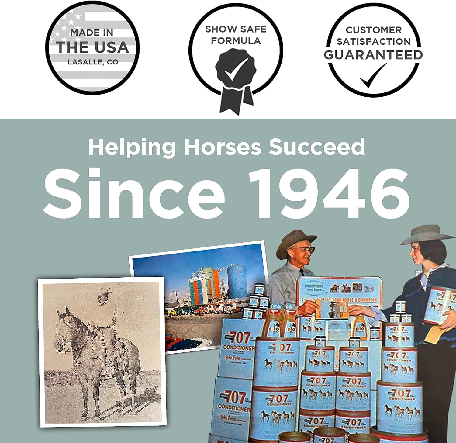 Formula 707 MultiFly Feed-Thru Fly Control Pellets for Horses - Palatable & Safe Fly Population Reduction (5 LB Bucket) : Pet Supplies