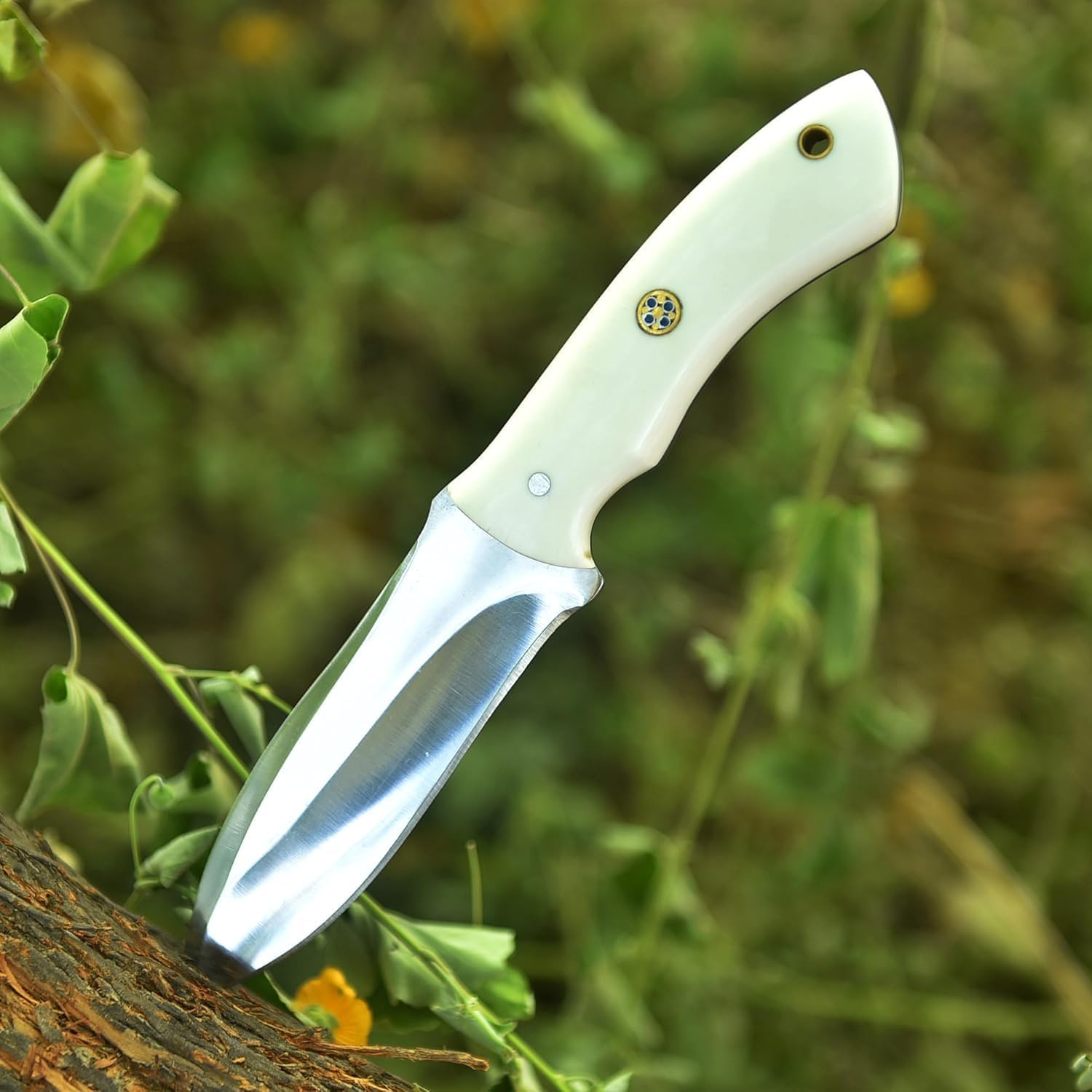White Handle
