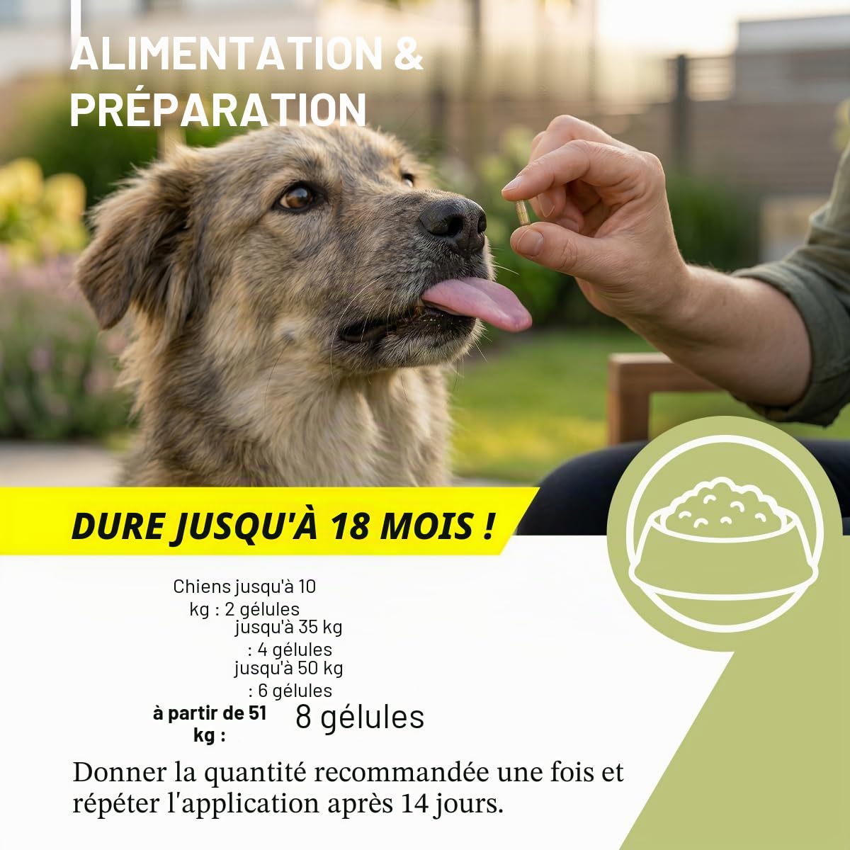 ReaVET Lot de 50 gélules d'herbes vermifuges secondaires pour chiens - Formule naturelle végétale - Vermifuge secondaire - Sans anthelminthique
