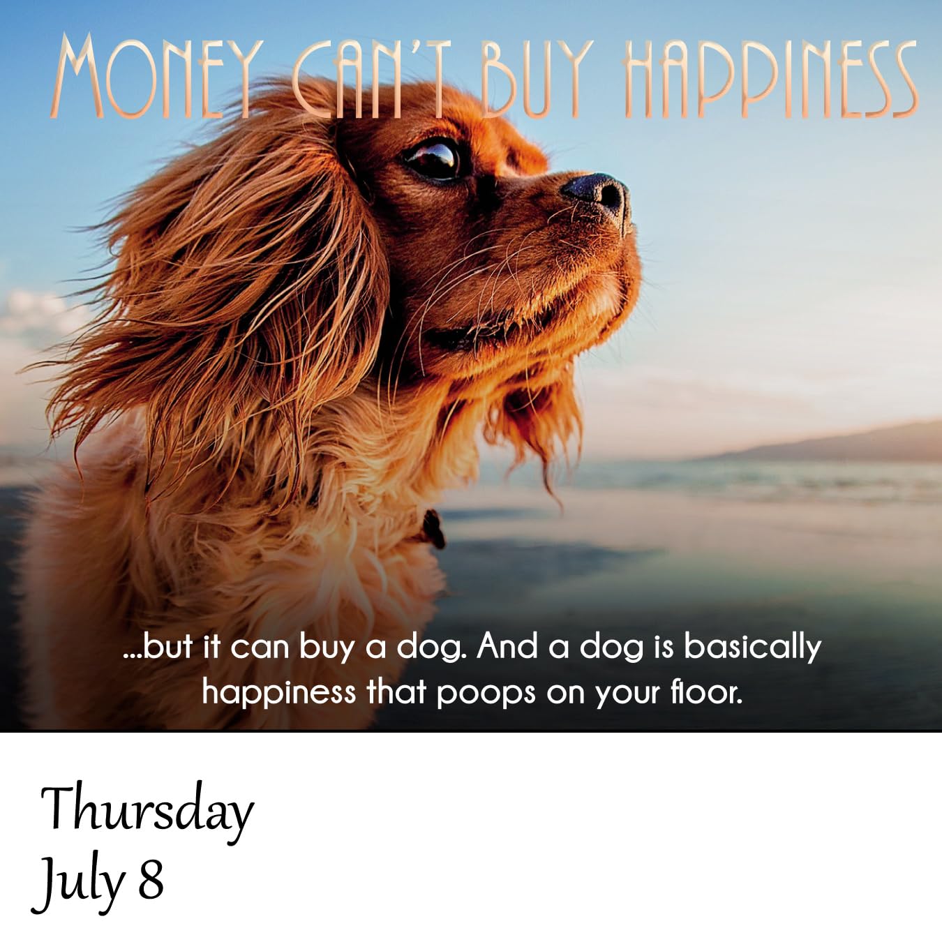 Demotivational 2027 Daily Calendar (A Funny, Uninspirational, and Humorous Page-A-Day / Day-to-Day Desk Calendar - all 365 days!)