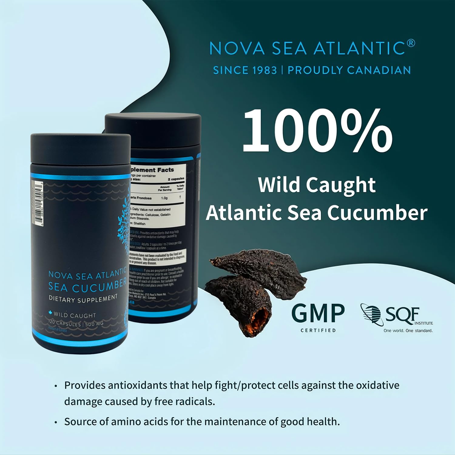 Cetriolo di Mare – Estratto Selvatico di Alta Qualità con Condroitina Fucosilata, Collagene Naturale e Antiossidanti per Supporto Articolare e Pelle (120 capsule)