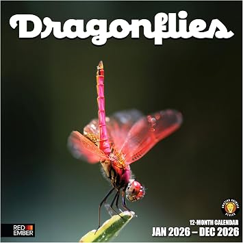 RED EMBER Dragonflies 2026 Wall Calendar 12 Month | 12" x 24" Open | Thick & Sturdy Paper | Giftable | Animal Calendar 2026