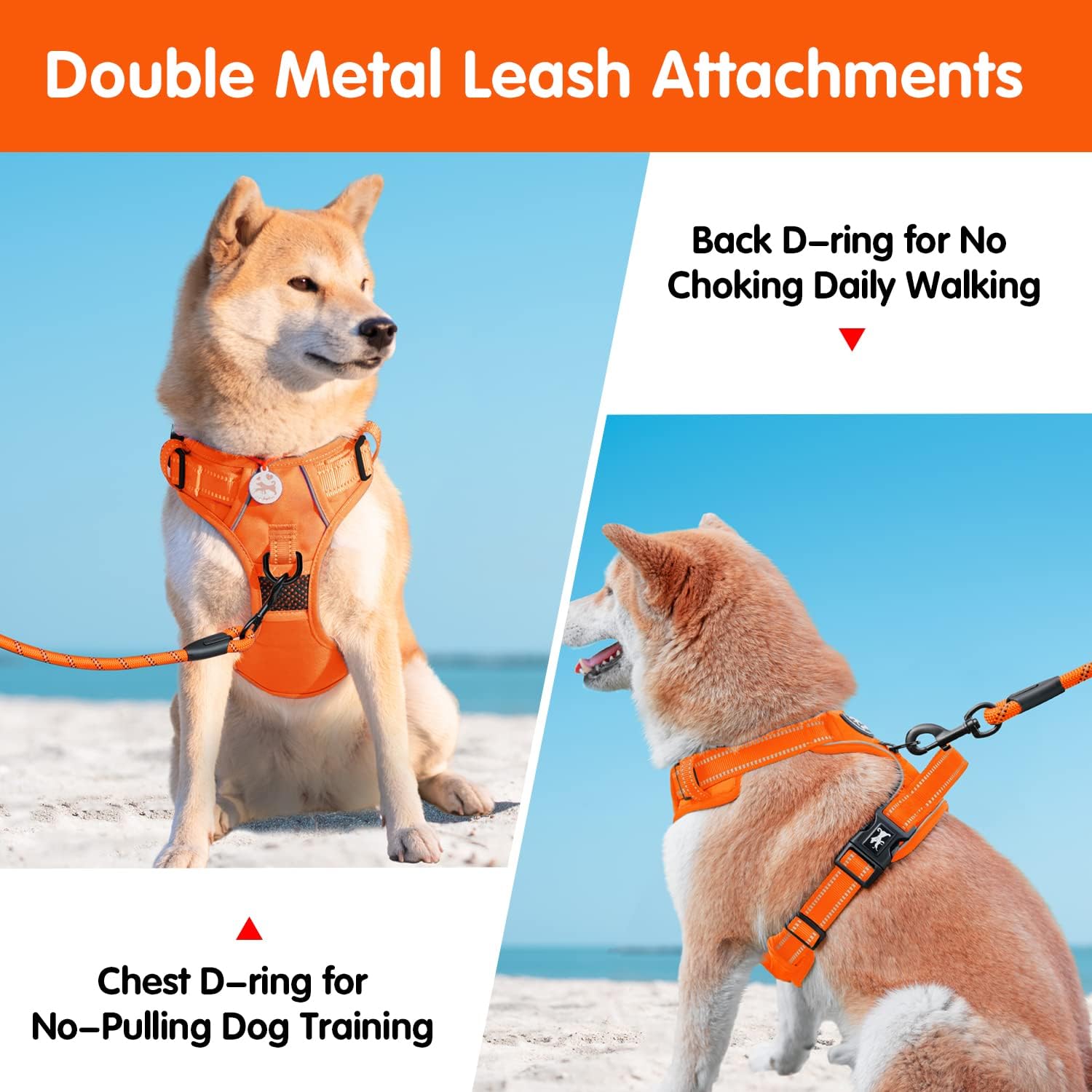 PoyPet No Pull Dog Harness and 5 Feet Leash Set, Release on Neck Reflective Adjustable Pet Vest, Front & Back 2 D-Ring and Soft Padded Pet Harness with Handle for Small to Large Dogs(Orange,S)