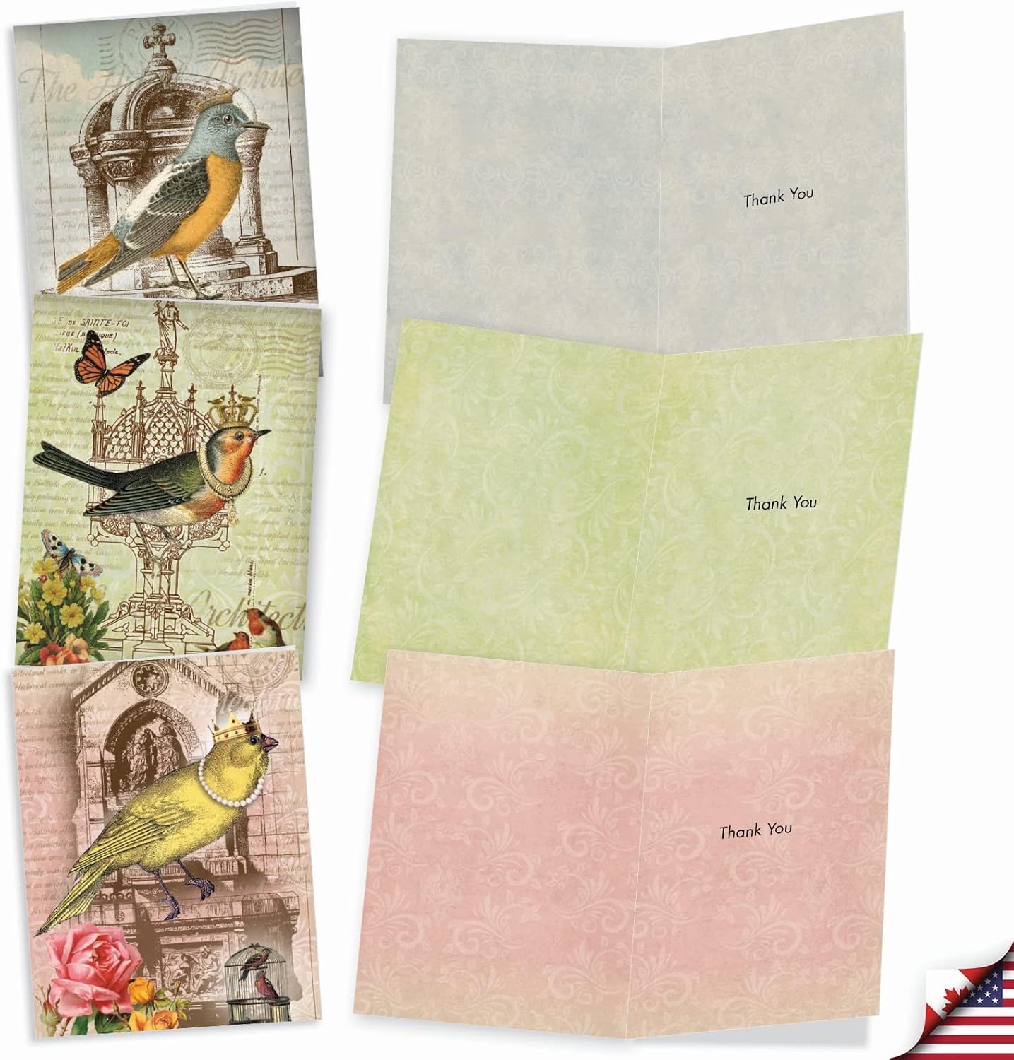 The Best Card Company - 10 Bird Note Cards Blank (4 x 5.12 Inch) - All Occasion Cards with Envelopes, Boxed Set - Royal Birds M2343OCB image 2