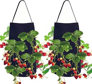 Sacchi per Piante,2 Pcs Borsa Crescita Piante,Borsa per Piante Fragole,Tessuto non Tessuto Traspirante,Resistente,8 Fori,Borsa per Piante in Feltro,Adatto per la Coltivazione di Ortaggi,Fiori,Pomodori