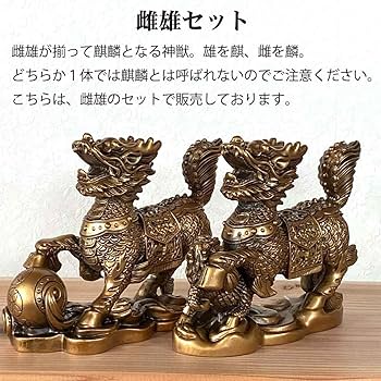 麒麟さま専用 71CebnnHLQL._UF350,350_QL80_.jpg