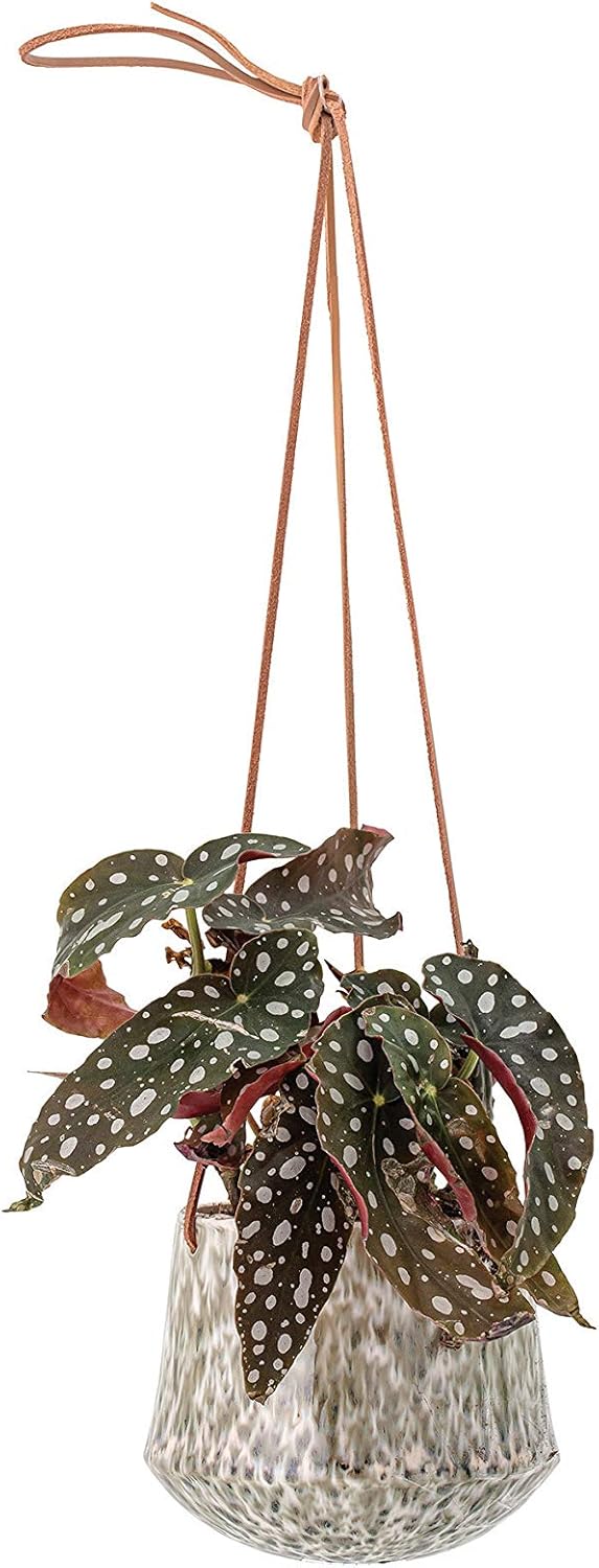 Bloomingville Green Stoneware Hanging Planter + Free Shipping