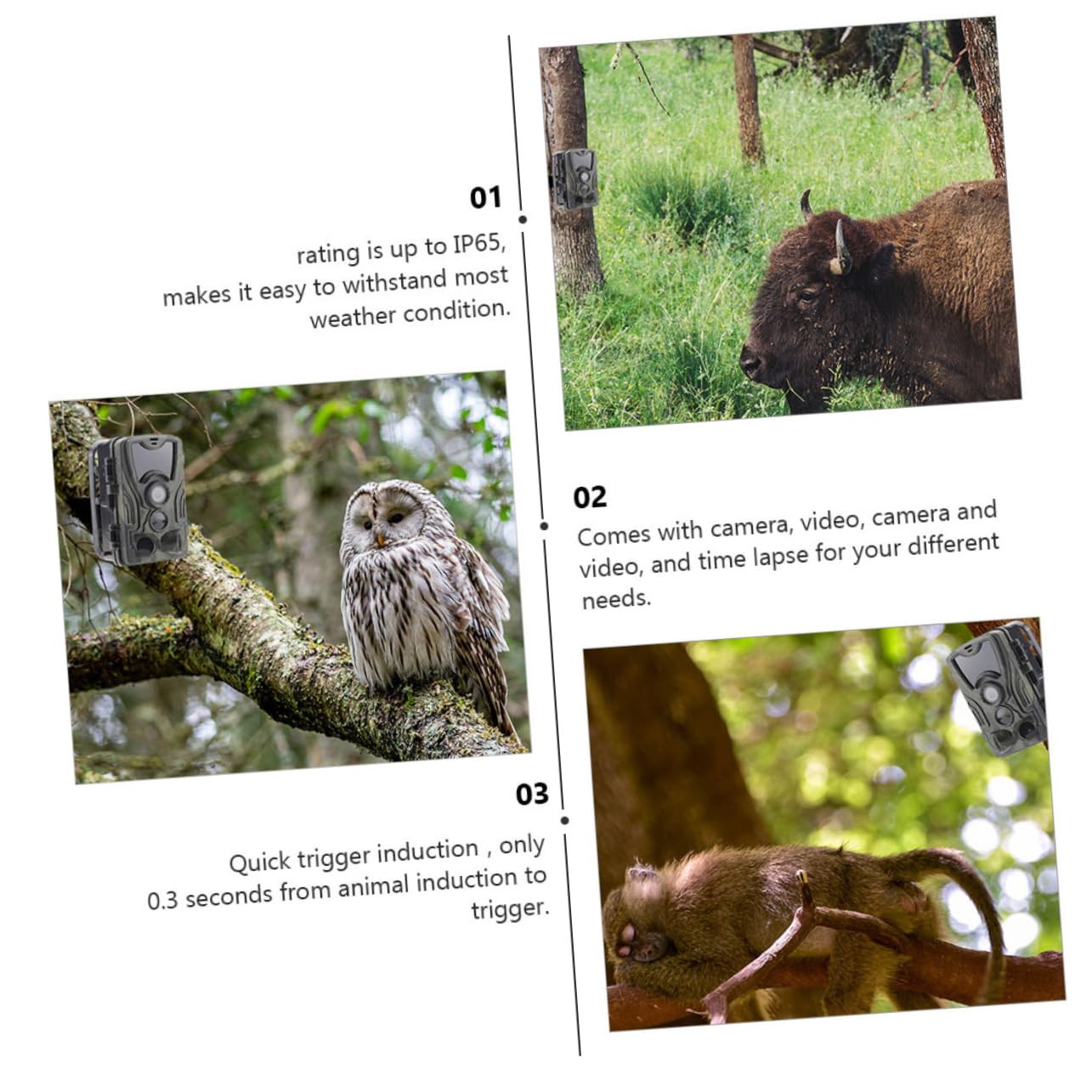 SOLUSTRE wasserdichte Kamera Mit Nachtsicht Megapixel Infrarotkamera Für Wildtierüberwachung Wetterfest Infrarotleuchten Sekunden Auslösung