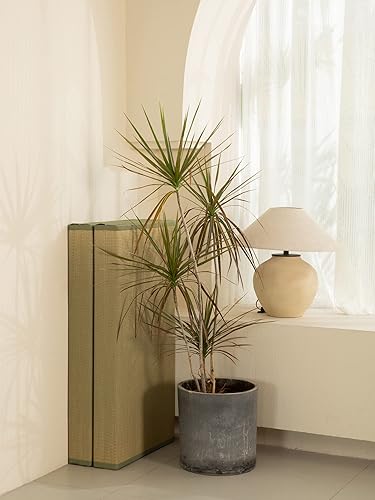 Miniatura 7 de MustMat Tapete grueso de tatami individual XL, cama de tatami japonés con bolsa de almacenamiento, 39 x 80 x 2 pulgadas (verde) Verde,Negro -