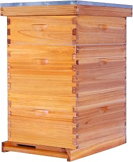 POLLIBEE 10 Frame Langstroth Beehive, Beeswax Coated Bee Hives for Bee Keeper,Beehive Include 2 Deep Bee Boxes and 1 Medium Bee Hive Box with Frame and Foundation(Unassembled)