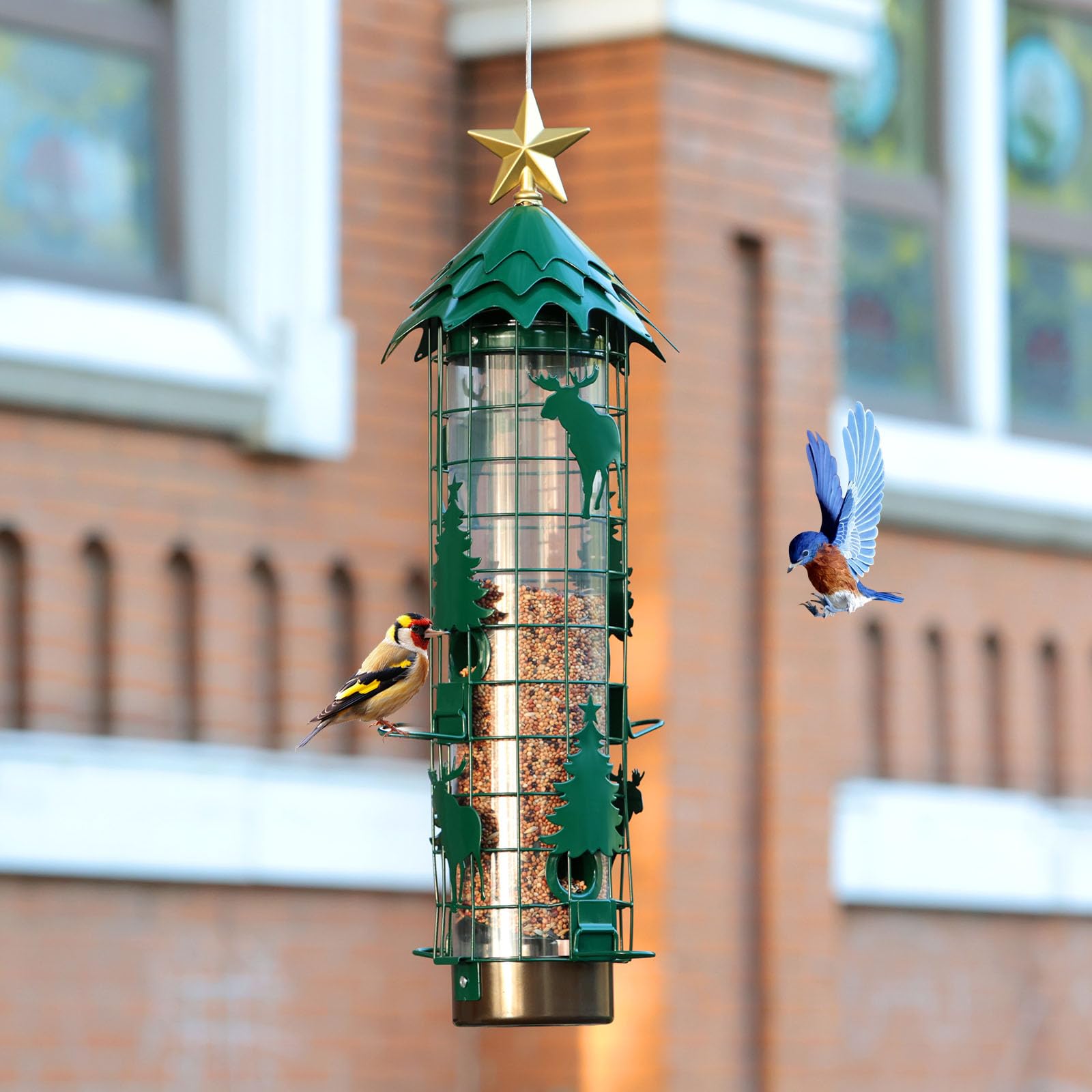 Comederos Para Pájaros Para Exteriores, A Prueba De Ardillas, Para Colgar  Al Aire Libre, Comederos De, image size:1600x1600