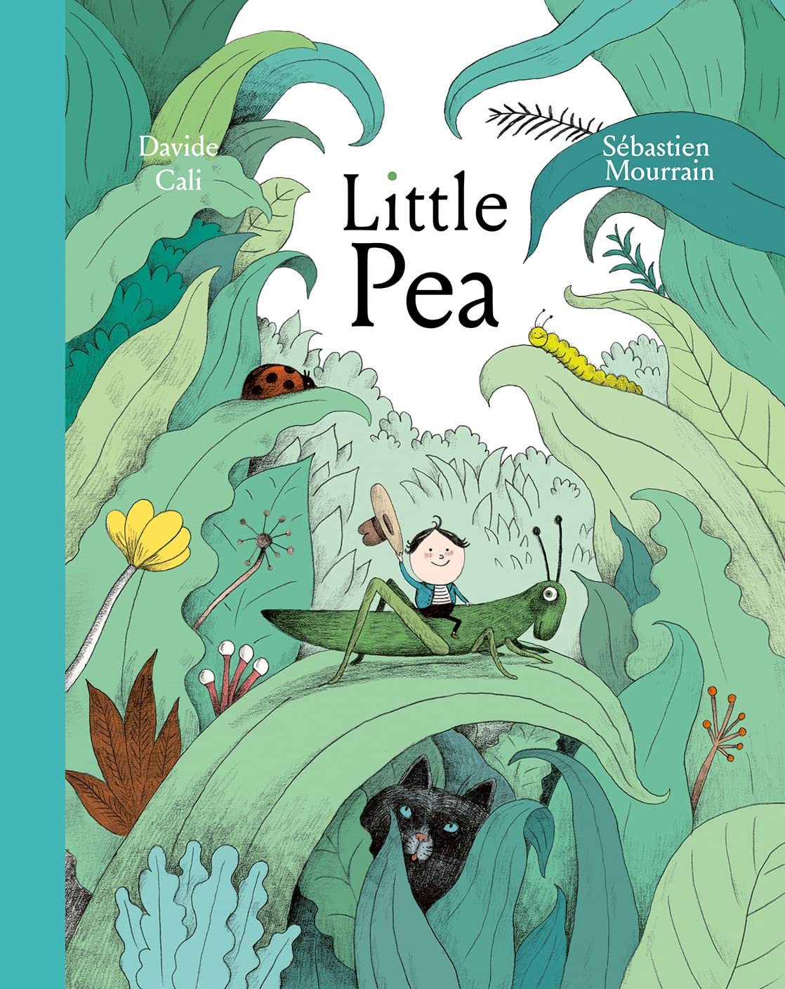 Little Pea by Davide Cali HARDBACK 9781990252112