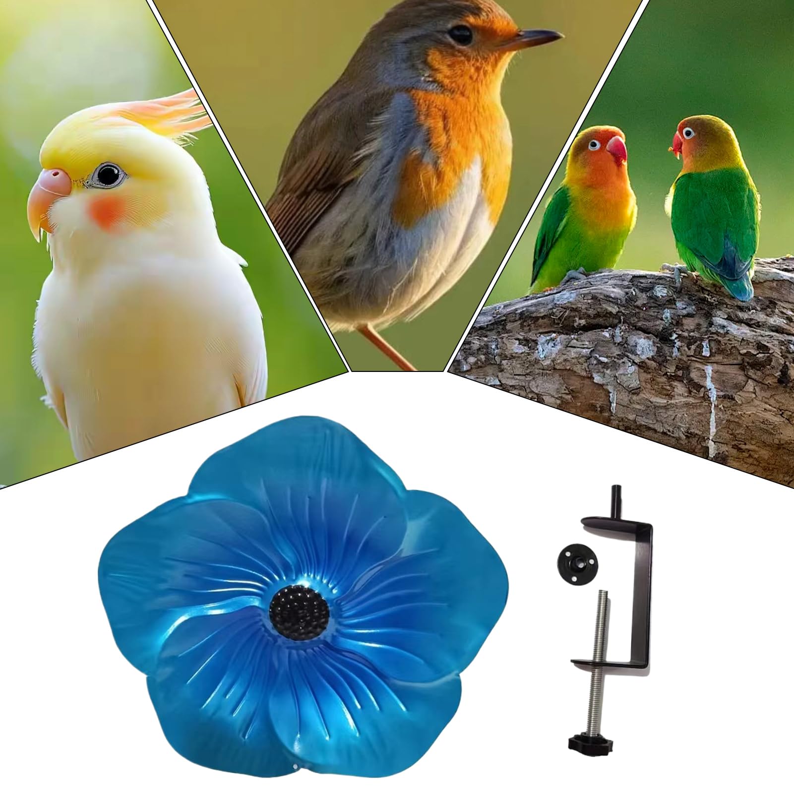 Bebederos para Aves Exterior Cuenco De Agua para Fuente De Aves En Jardín | Plato Desmontable Con Sujeción Para En Jardín, Patio, Balcón, Porche, Parque Y Decoración