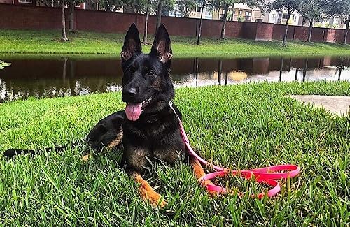 Miniatura 3 de Overdrive K9 Biothane Super Heavy Beta - Correa de 34 pulgadas para perros pequeños y grandes, opciones cortas y largas, diseño fuerte, materiales