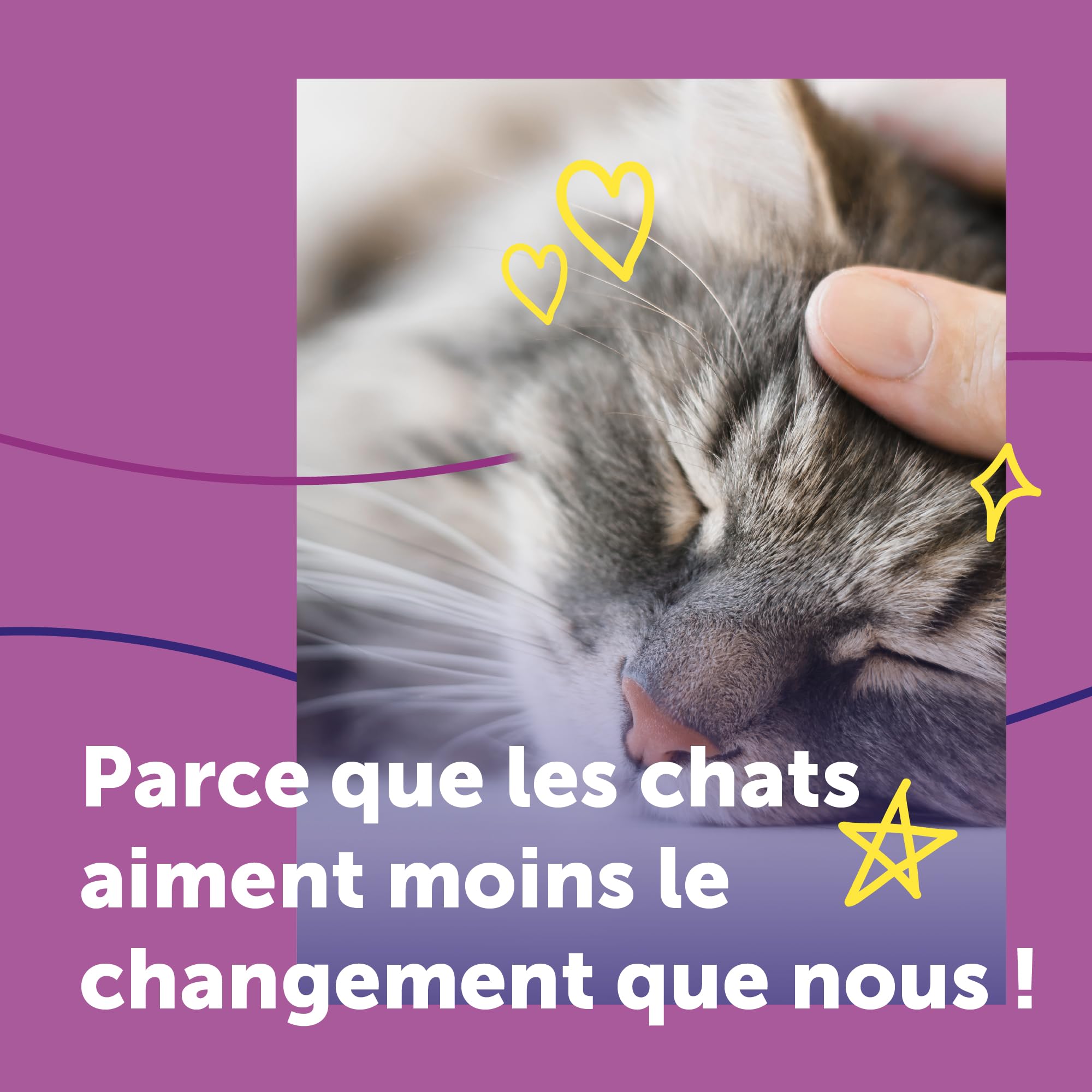 FELIWAY Help! Diffuseur + Recharge de phéromones apaisantes pour Chats (durée de 7 Jours). Aide à Calmer Votre Chat Pendant Les Situations de Stress ponctuel. Recommandé par Les vétérinaires.