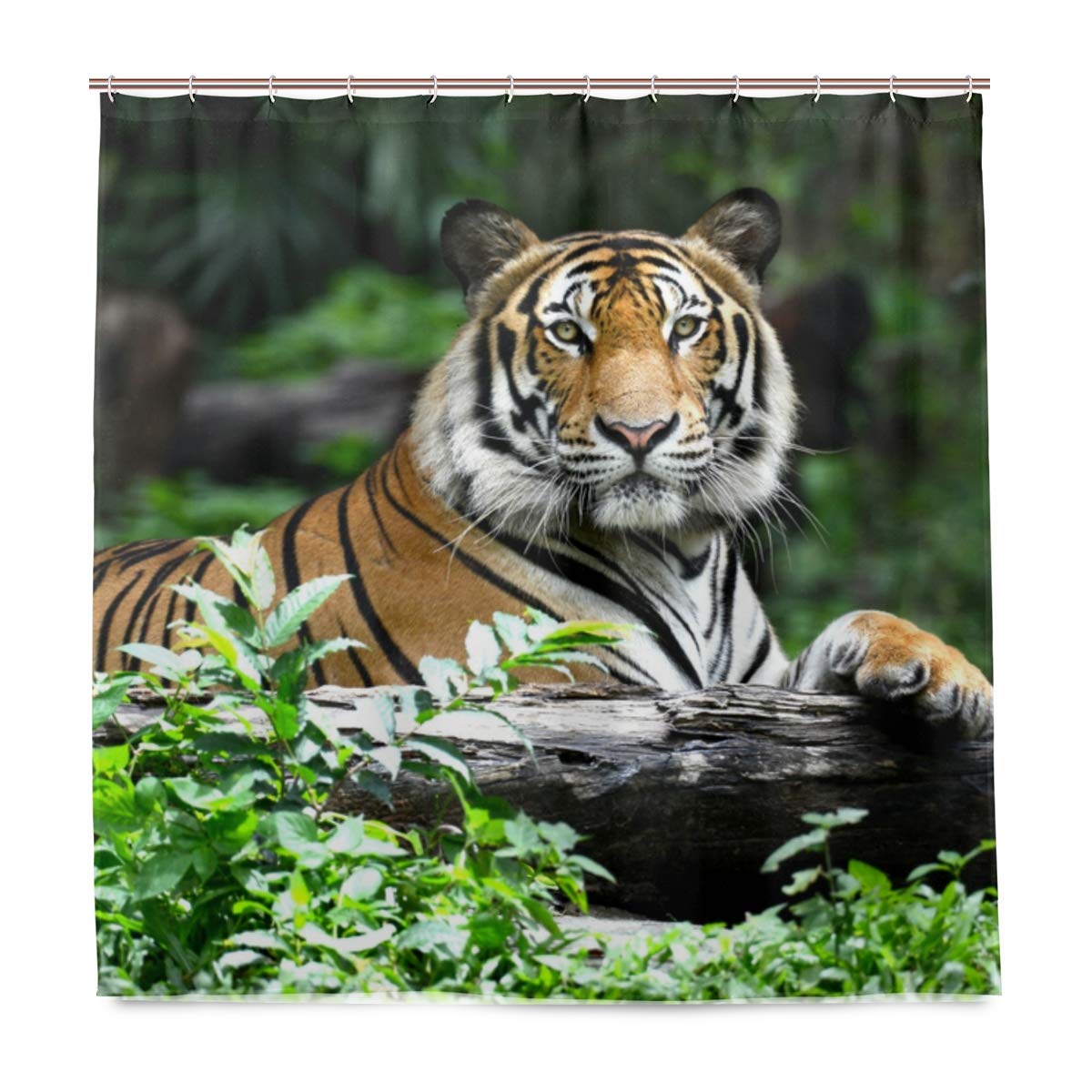 BALII Cute Tiger Shower Curtain 72x72 Inch Polyester Waterproof With 12 Hooks for Bathroom