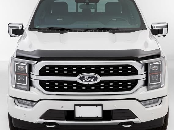WeatherTech Hood Protector Low-Profile Hood Shield for Ford F-150 (55194IM), Dark Tint