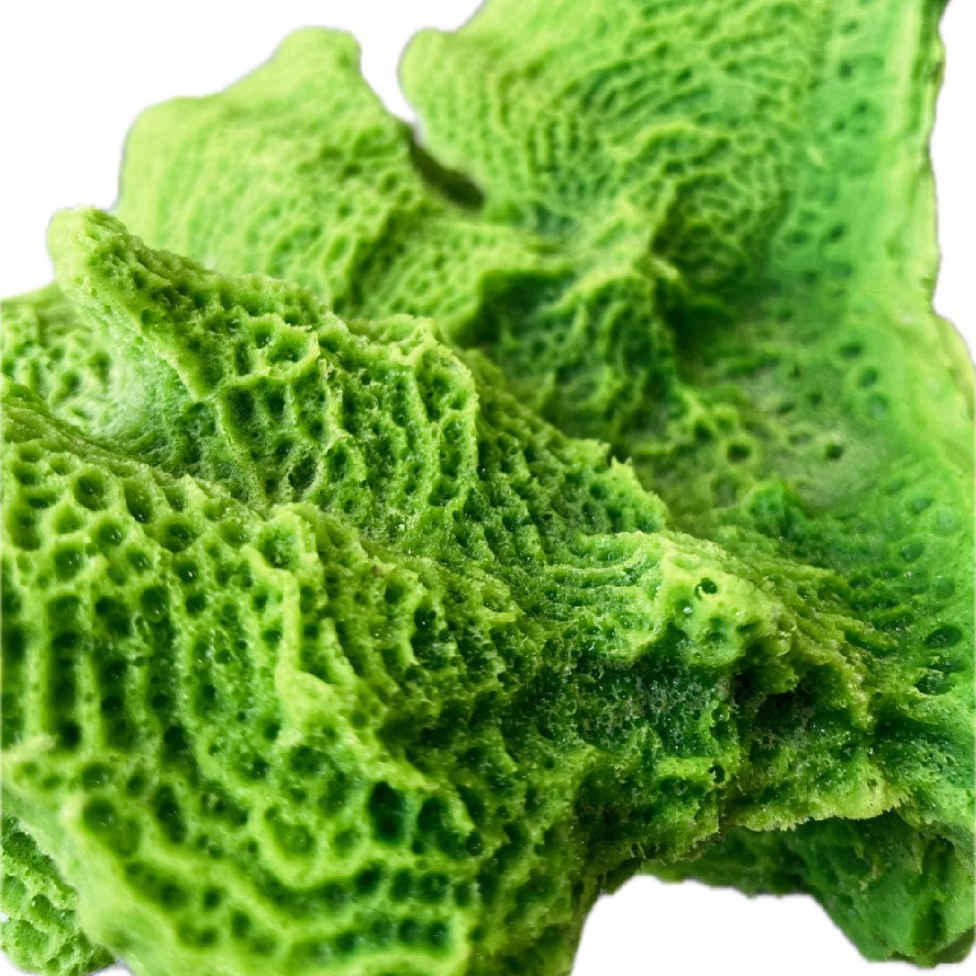Ocean Aquaria Lettuce Coral – Artificial Coral for Fish Tank & Aquarium Decor #710