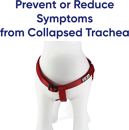 Miniatura 4 de Pawtitas Paquete económico  Arnés para perro pequeño + collar para perro pequeño + correa para perro extra pequeñapequeña de 6 pies, juego rojo