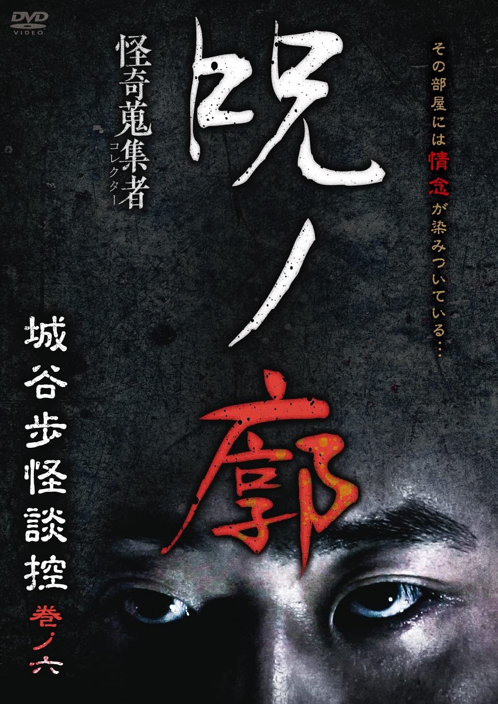 怪奇蒐集者 城谷歩怪談控 [DVD] 怪奇蒐集者 斬月鬼談 城谷歩怪談控 巻ノ九 - 楽創舎
