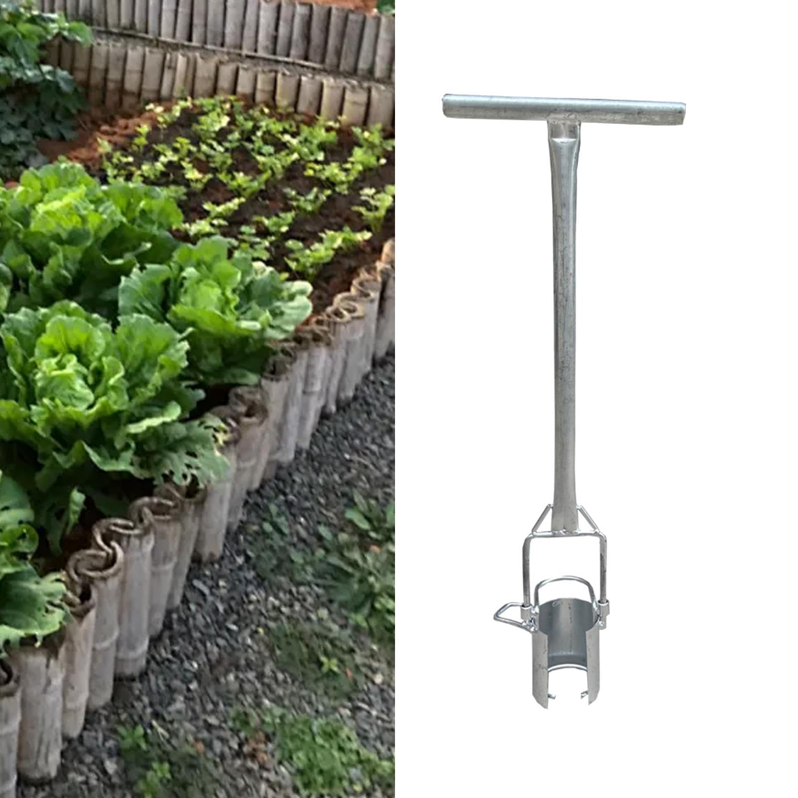 Outil de Transplantation de Bulbes Jardinage Long Manche Acier Inoxydable 9.84x32.68 pouces pour Plantation Semis Légumes