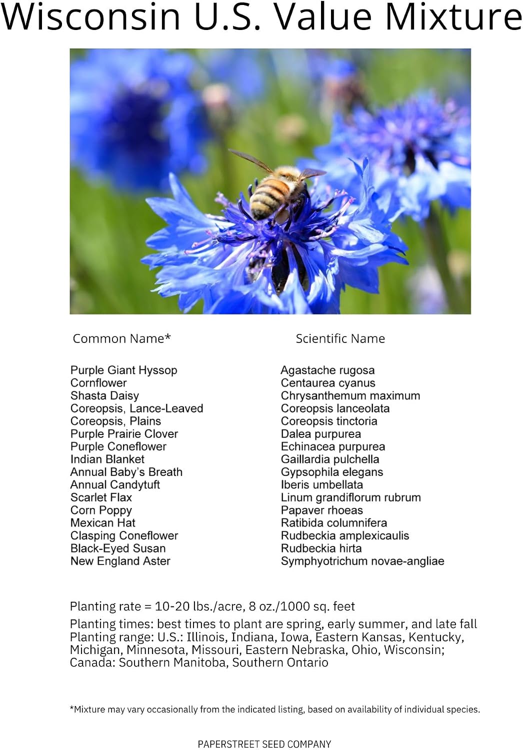 Wisconsin Bulk Perennial Wildflower Seed Mix 1lb Covers 2,000sq-ft - Attract Pollinators, Multi-Color Blooms - Midwest US Species Plant in Spring/Fall - Earth-Friendly Packaging (1/4 Pound)
