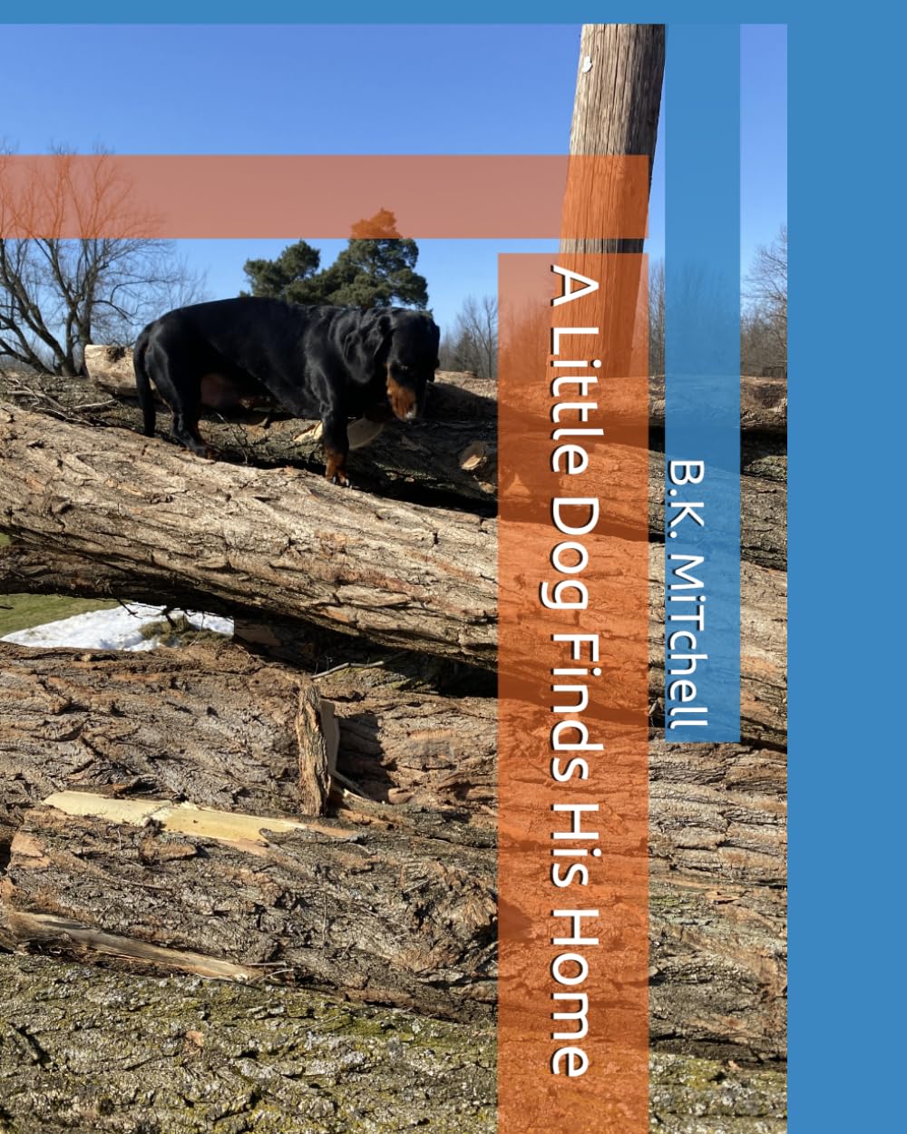 A Little Dog Finds His Home: 1 (The Little Dog Family Series)