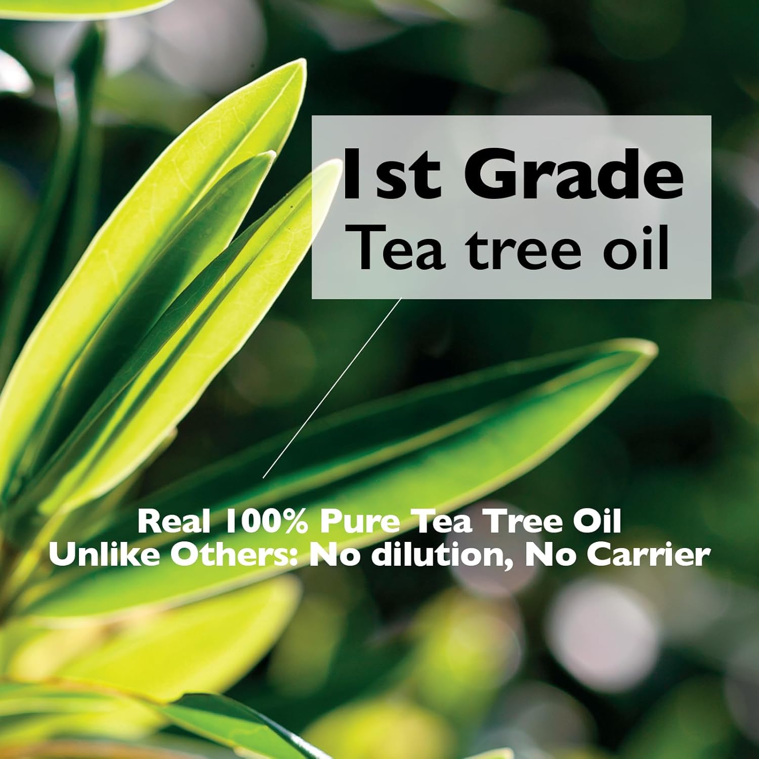 Teatree oil Roll-On 100% Spot Care for Acne Treatment - Gentle on Sensitive Skin, Targets Acne Pimples, Blemishes, and Zits. Face and Skin Spot Care Treatment for Acne, 0.18oz. - Image 6