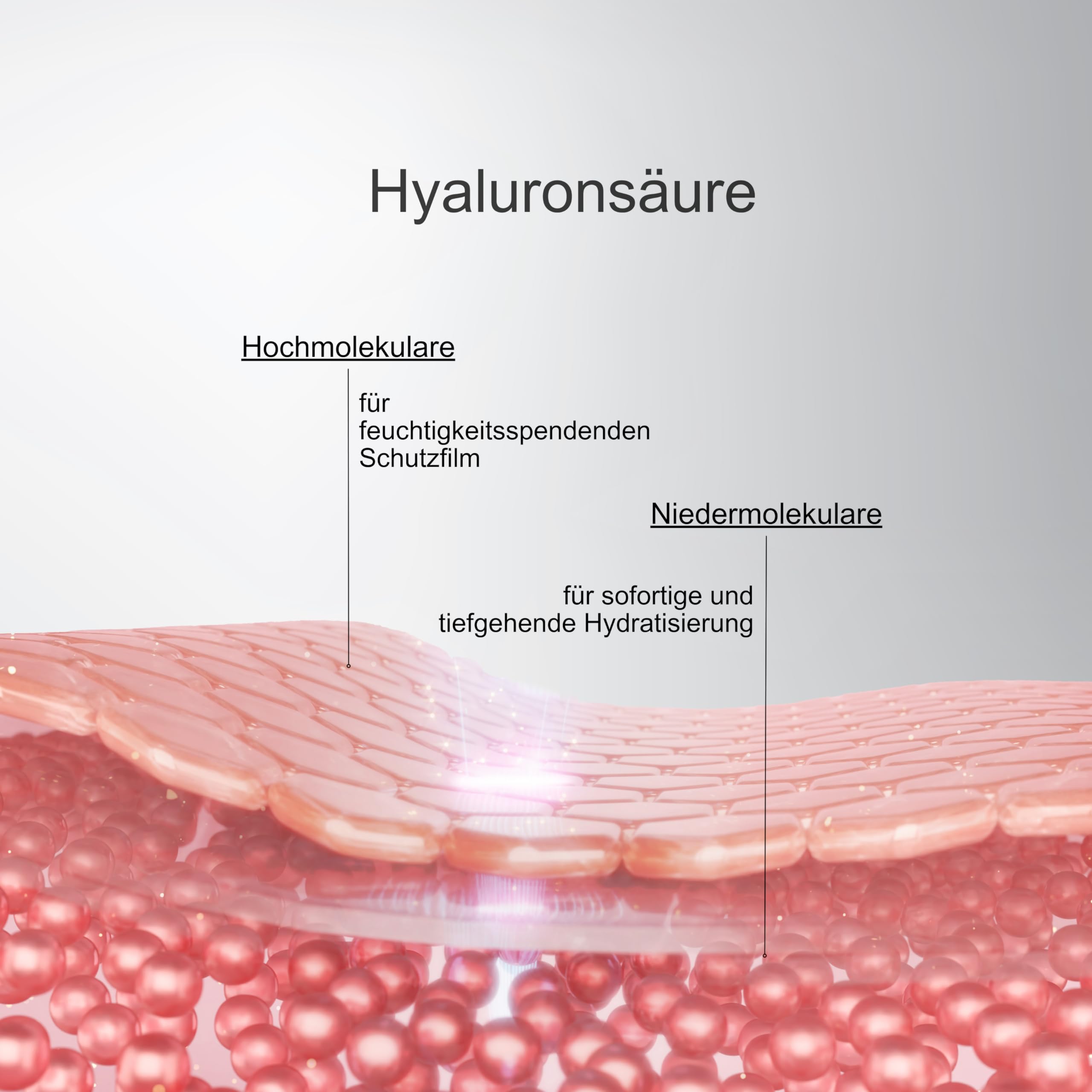 24h Anti Aging Hyaluron Serum Gesicht | 30 ml Hyaluronsäure Serum hochdosiert für Hals, Augen und Dekolleté - Soforteffekt gegen Falten & Augenringe - Hautserum feuchtigkeitsspendend & vegan
