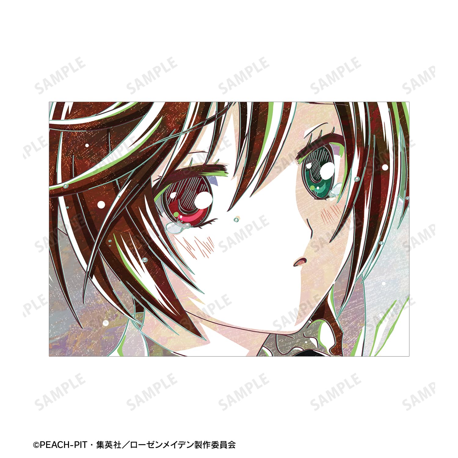 Amazon.co.jp: ローゼンメイデン 翠星石 Ani Art A5イラストカード