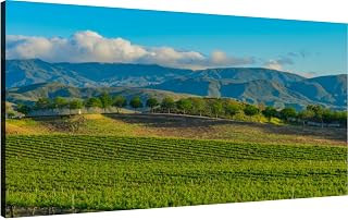 Canvas Wall Art for Living Room Bedroom California spring vineyard the Temecula Valley Big Large Wall Art Decor Framed Painting Wall Pictures Prints Artwork Office