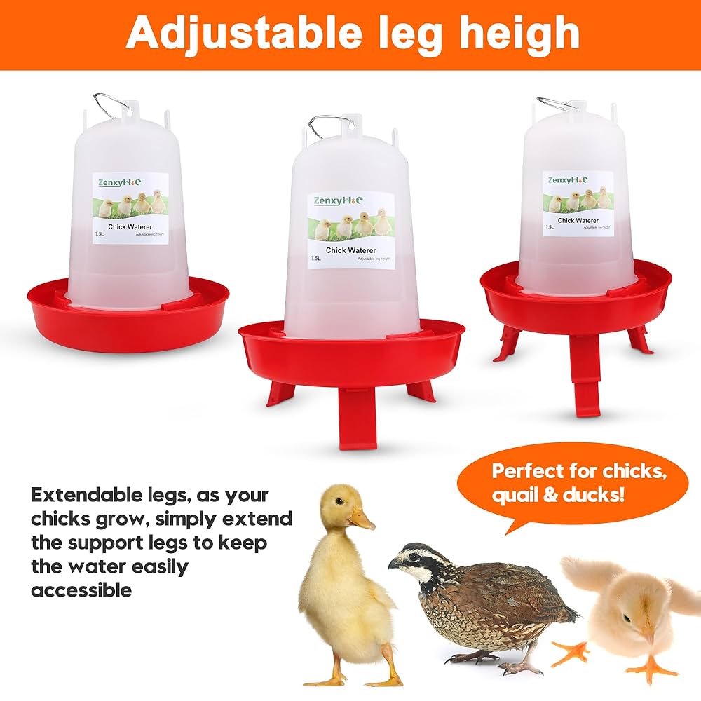 Amazon.com: ZenxyHoC Chick Feeder and Waterer Kit, 0.3Gal