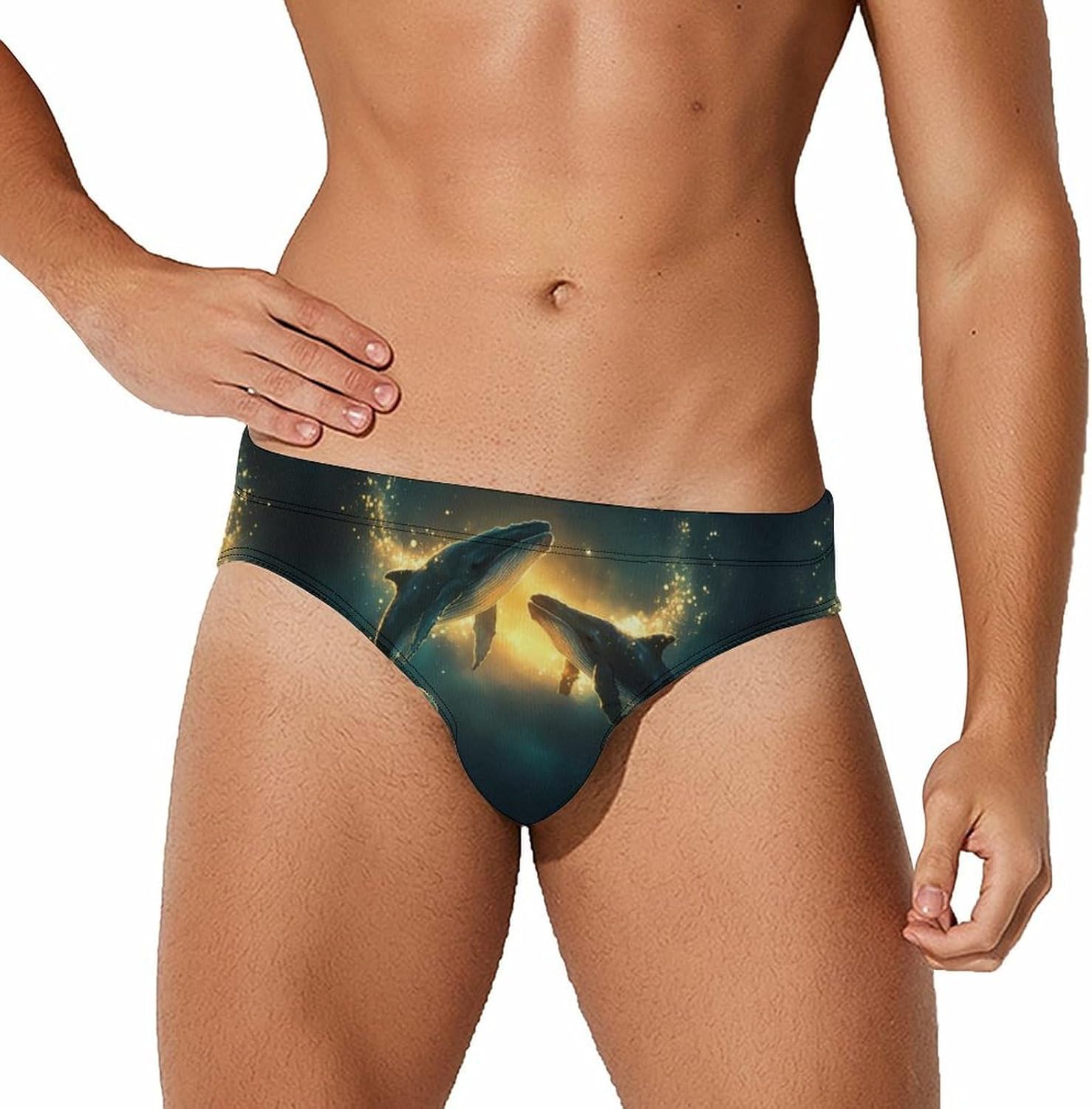 Whales Men's Swimsuit Brief Sexy Bikini Briefs Retro Printed Swimwear Quick Dry Swimming Trunks 3X-Large
