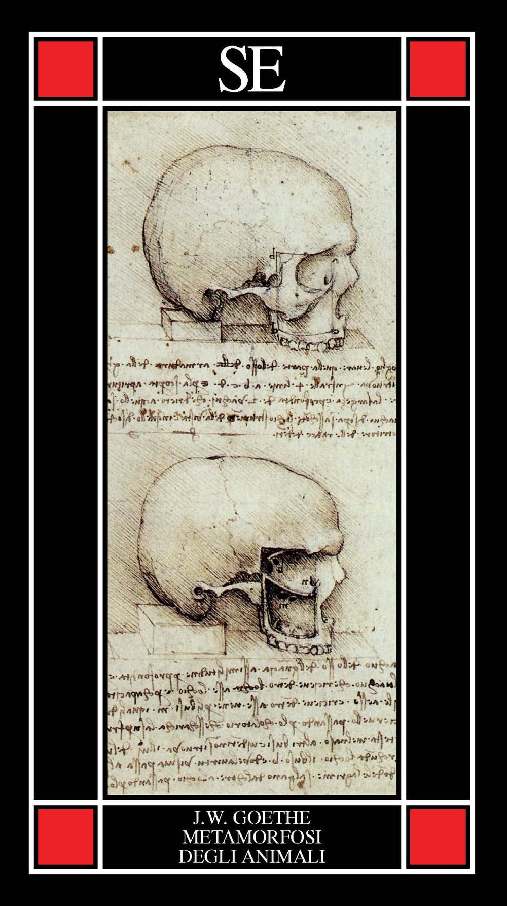 La Metamorfosi Degli Animali - 4