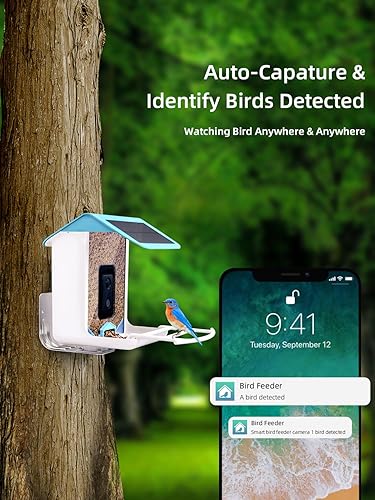 Miniatura 2 de Comedero para pájaros con cámara, alimentador de video para pájaros con reconocimiento AI, notificación automática detectada de aves, conexión WiFi
