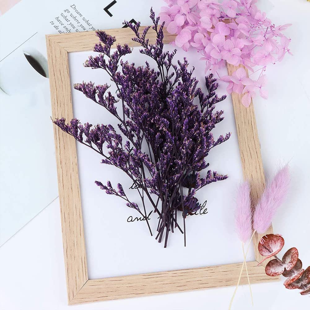Fleurs Séchées Naturelles Bleues - DIY Déco - Pour Résine, Scrapbooking - Boîte 17x12cm