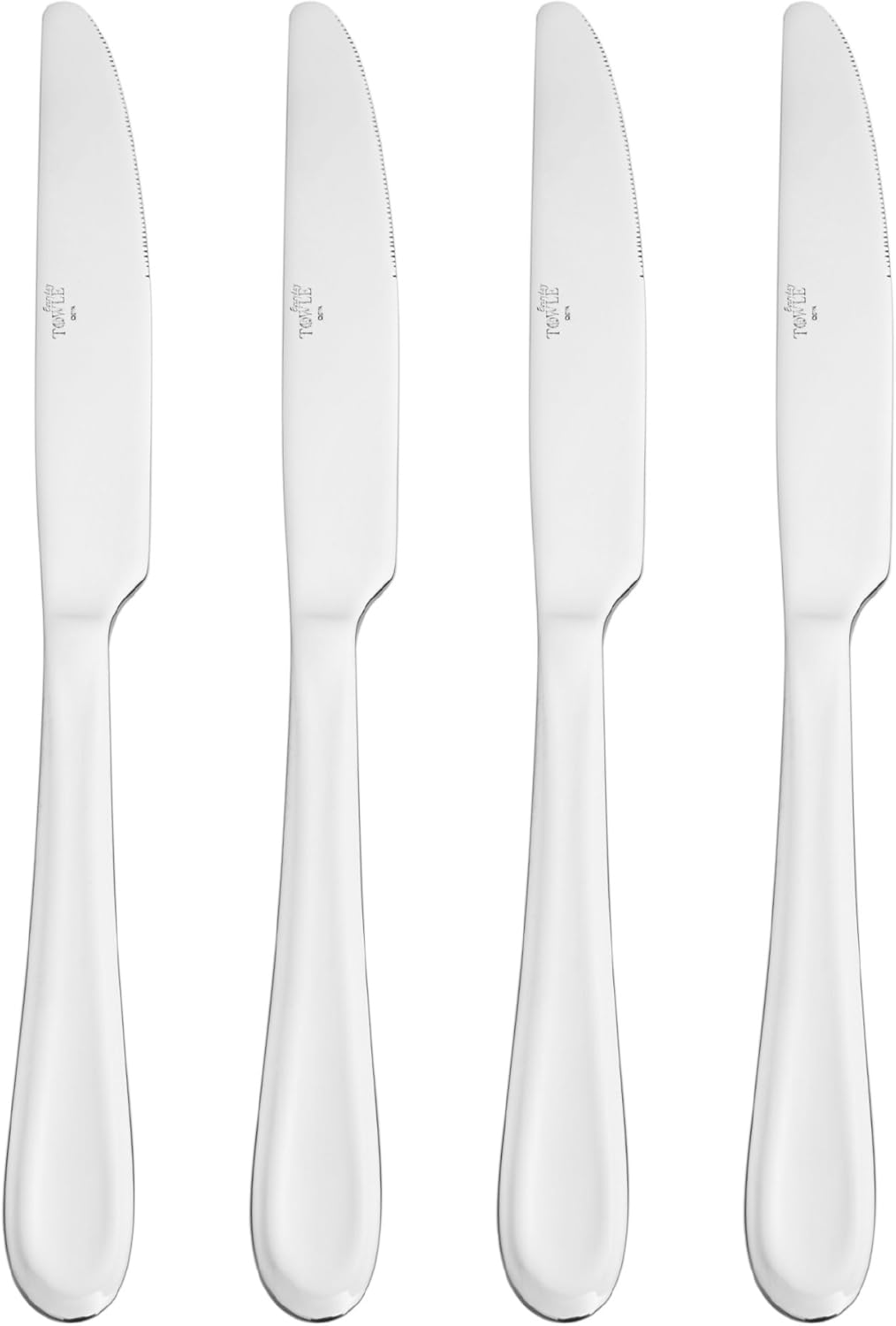 International Silver Forte 20-Piece Stainless Steel Flatware Set, Service for 4