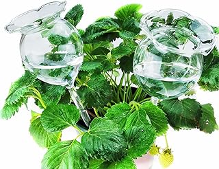 Aebor Plant Waterer Self Watering Globes, Plant Watering Globes Automatic Plant Waterer, Hand Blown Clear Glass Plant Water Bulbs Devices for Indoor & Outdoor, 2 Flower Shape