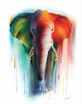 Elephant Dreams by Sophia - Art Print / Poster 11x14 inches